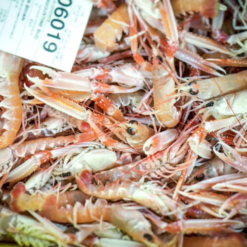 langoustines